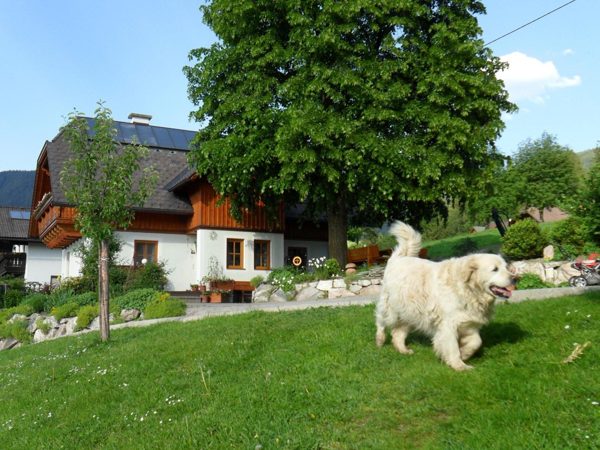 Villa Hüttstädterhof Familie Pötsch Aigen im Ennstal Exterior foto
