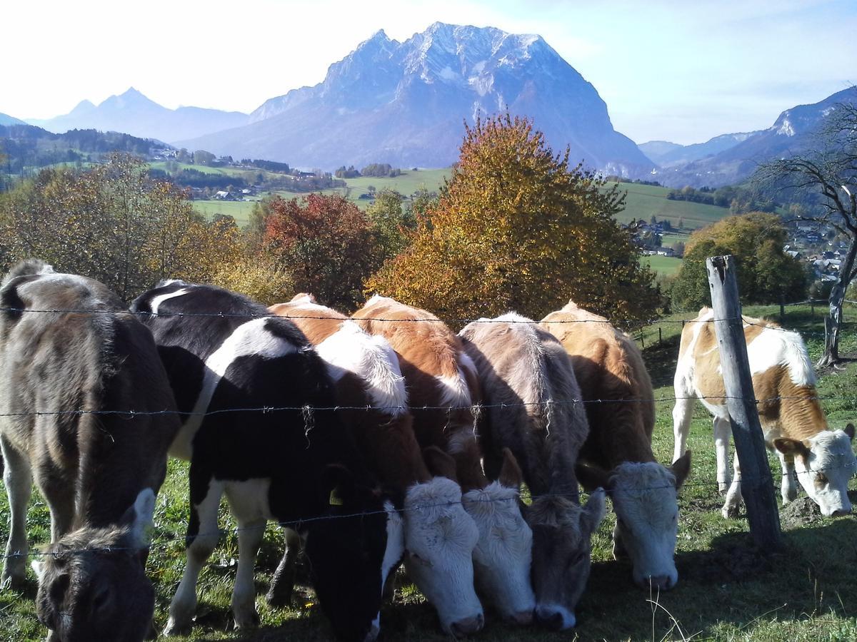 Villa Hüttstädterhof Familie Pötsch Aigen im Ennstal Exterior foto