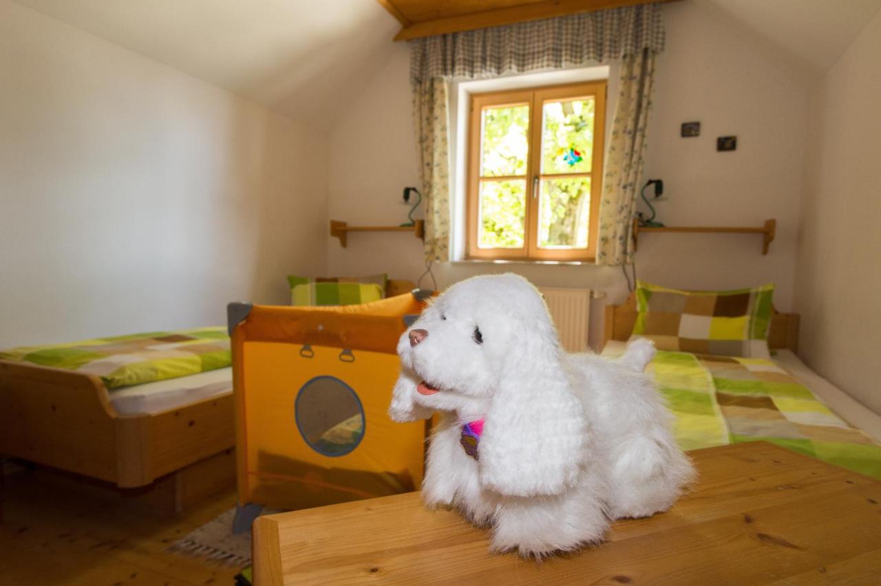 Villa Hüttstädterhof Familie Pötsch Aigen im Ennstal Zimmer foto