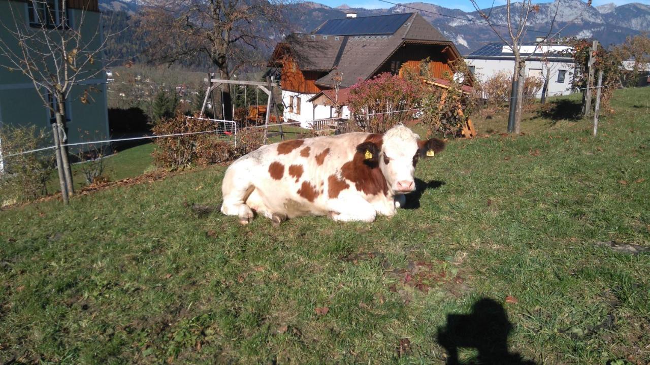 Villa Hüttstädterhof Familie Pötsch Aigen im Ennstal Exterior foto